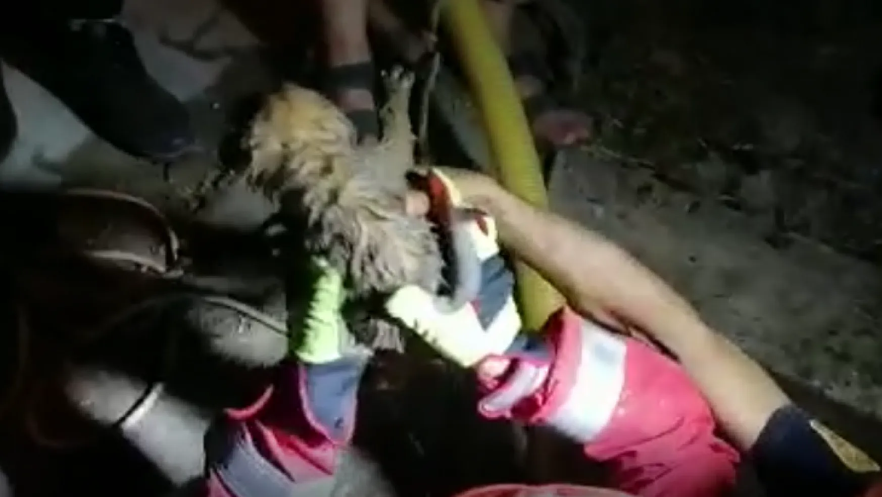 Sulama kanalına düşen yavru köpek kurtarıldı 