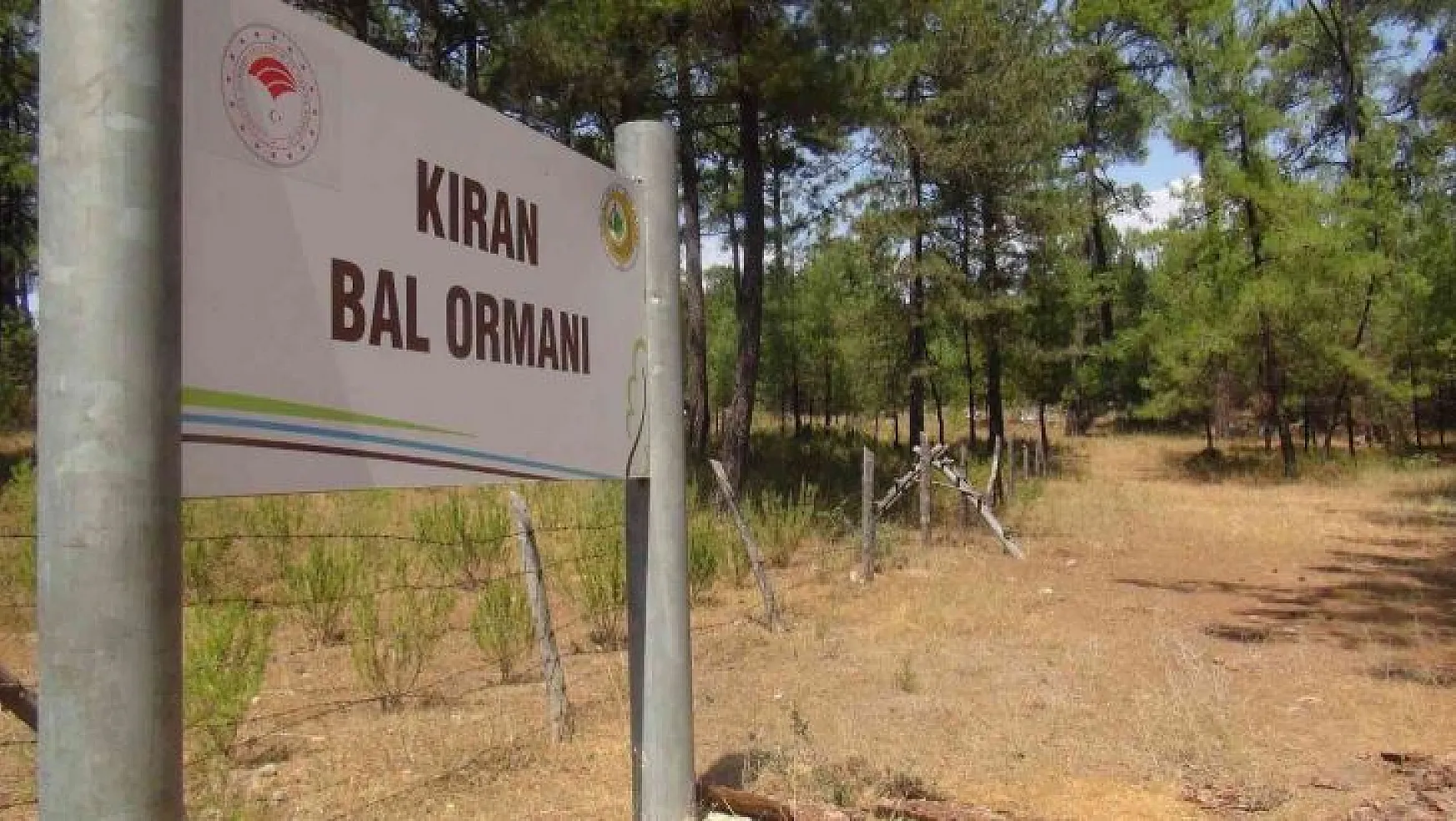 TAB Başkanı Şahin 'Bal ormanı alanları genişletilmeli'