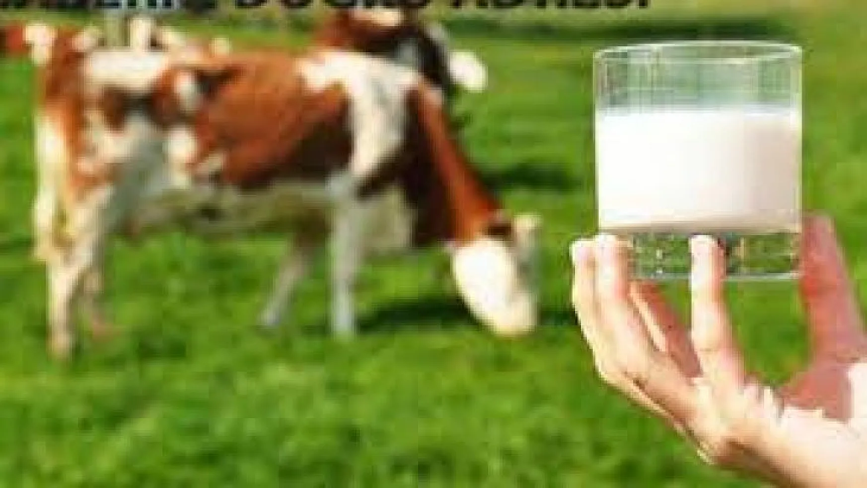 Ticari süt işletmelerince 763 bin 413 ton inek sütü toplandı