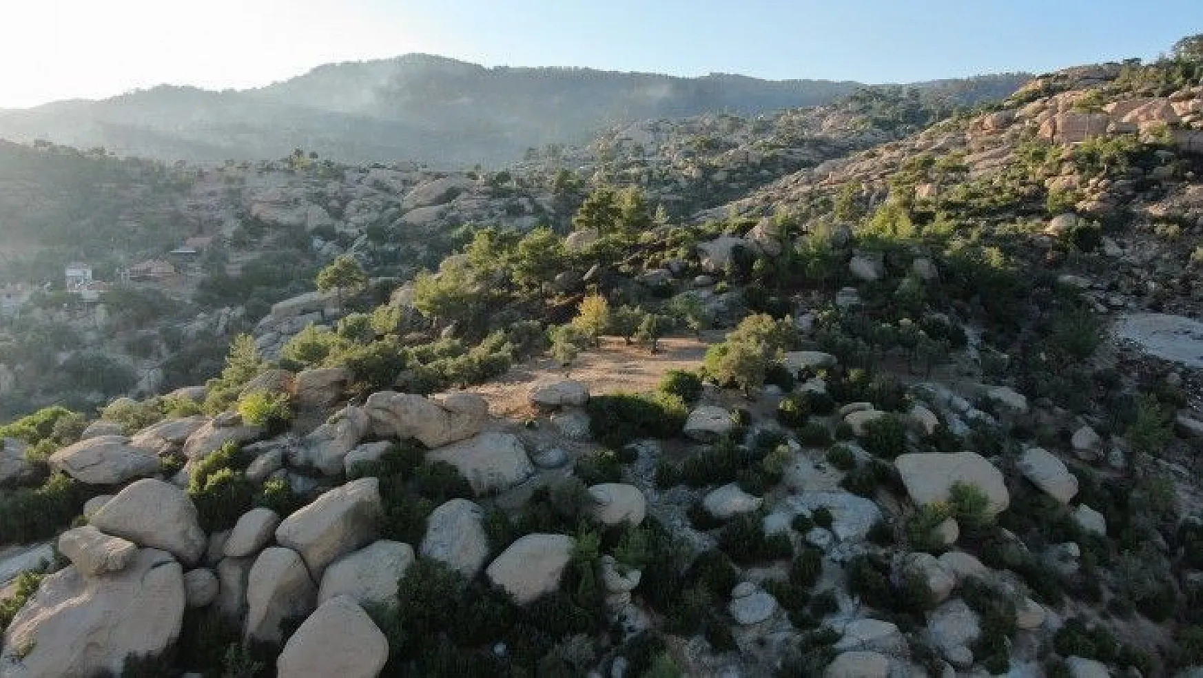Türkiye'nin en yaşlı kayaları yangından kurtuldu