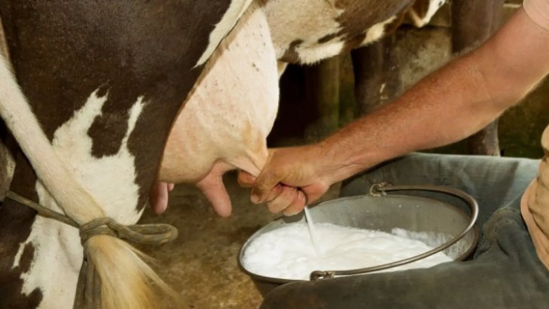 Üretici süte yapılan zamma sevinemedi