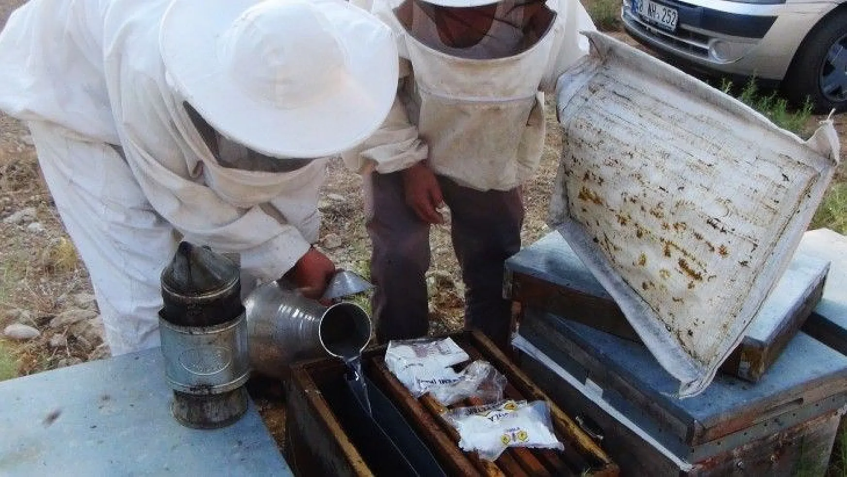 Üreticiler arıların ölmemesi için mücadele veriyor