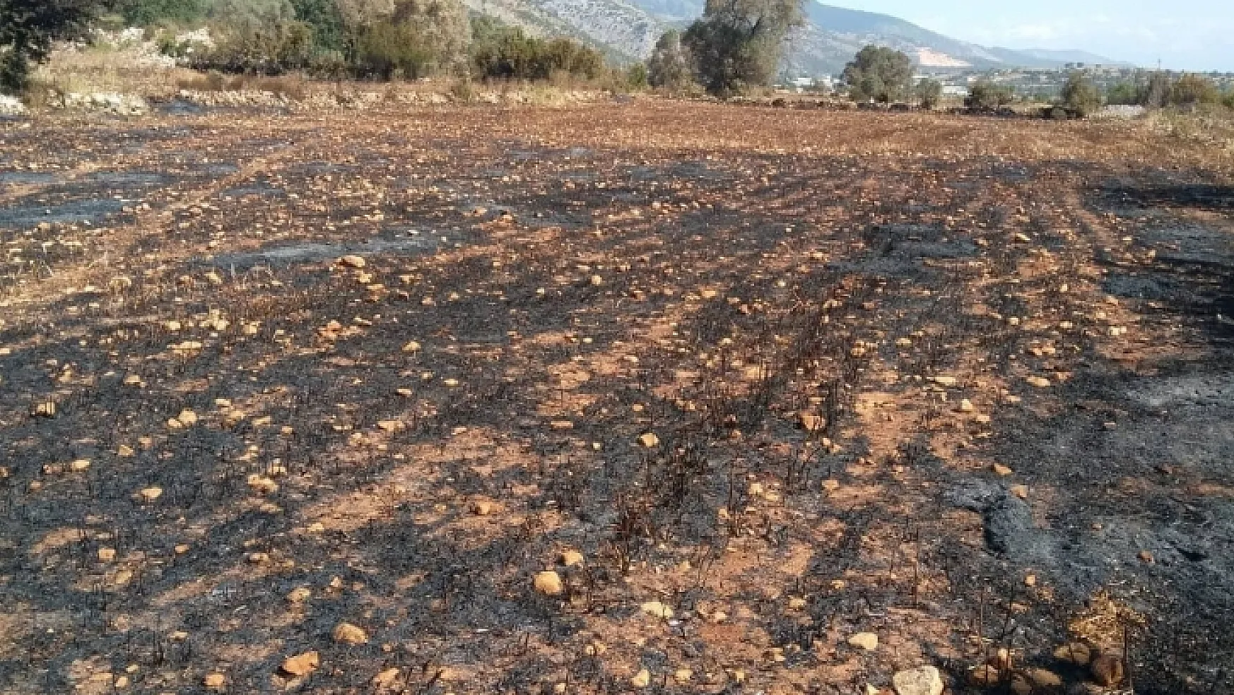 Yangında 5 Hektar Alan Zarar Gördü