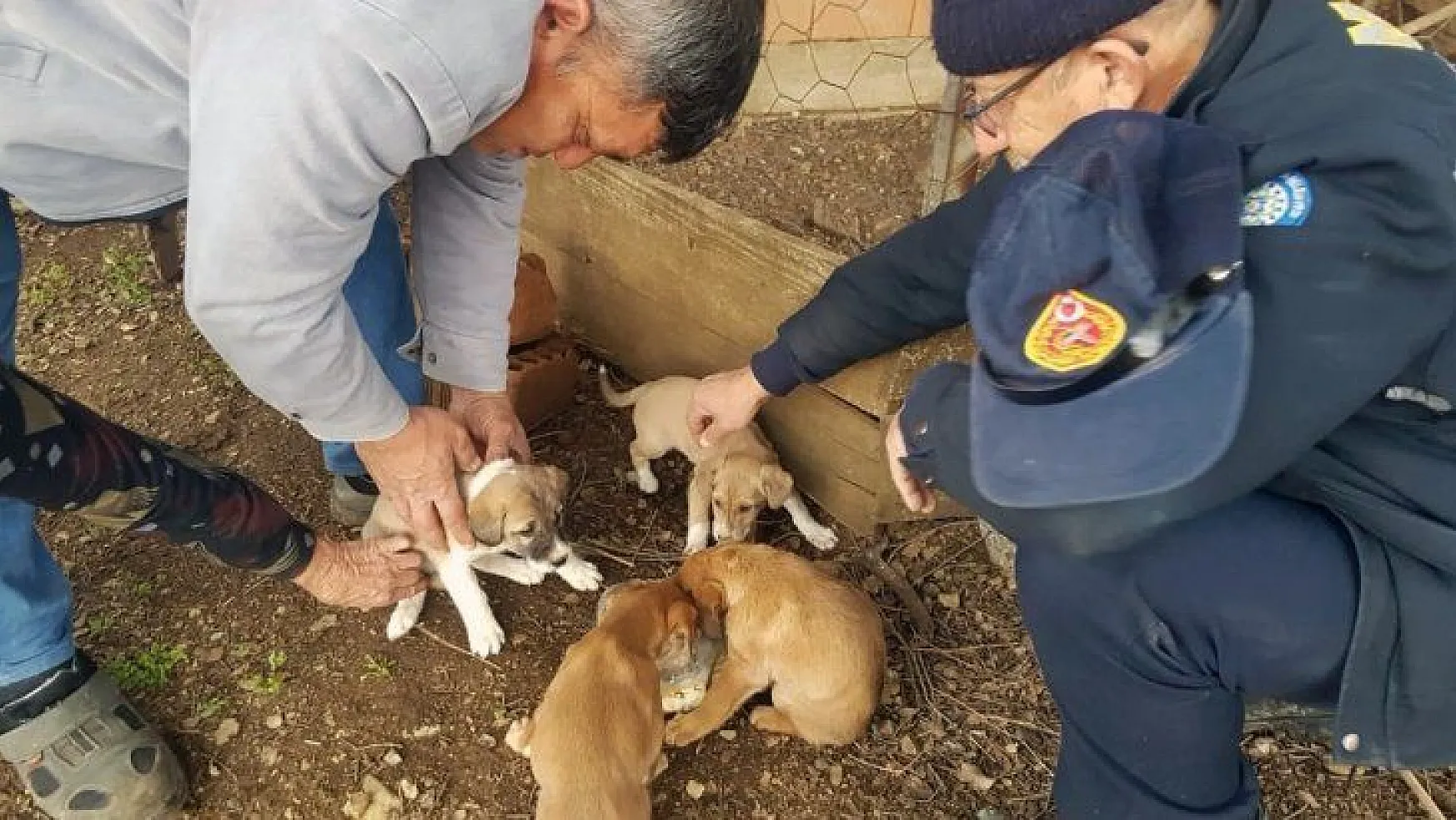Yavru köpekler itfaiyenin yardımıyla kurtarıldı