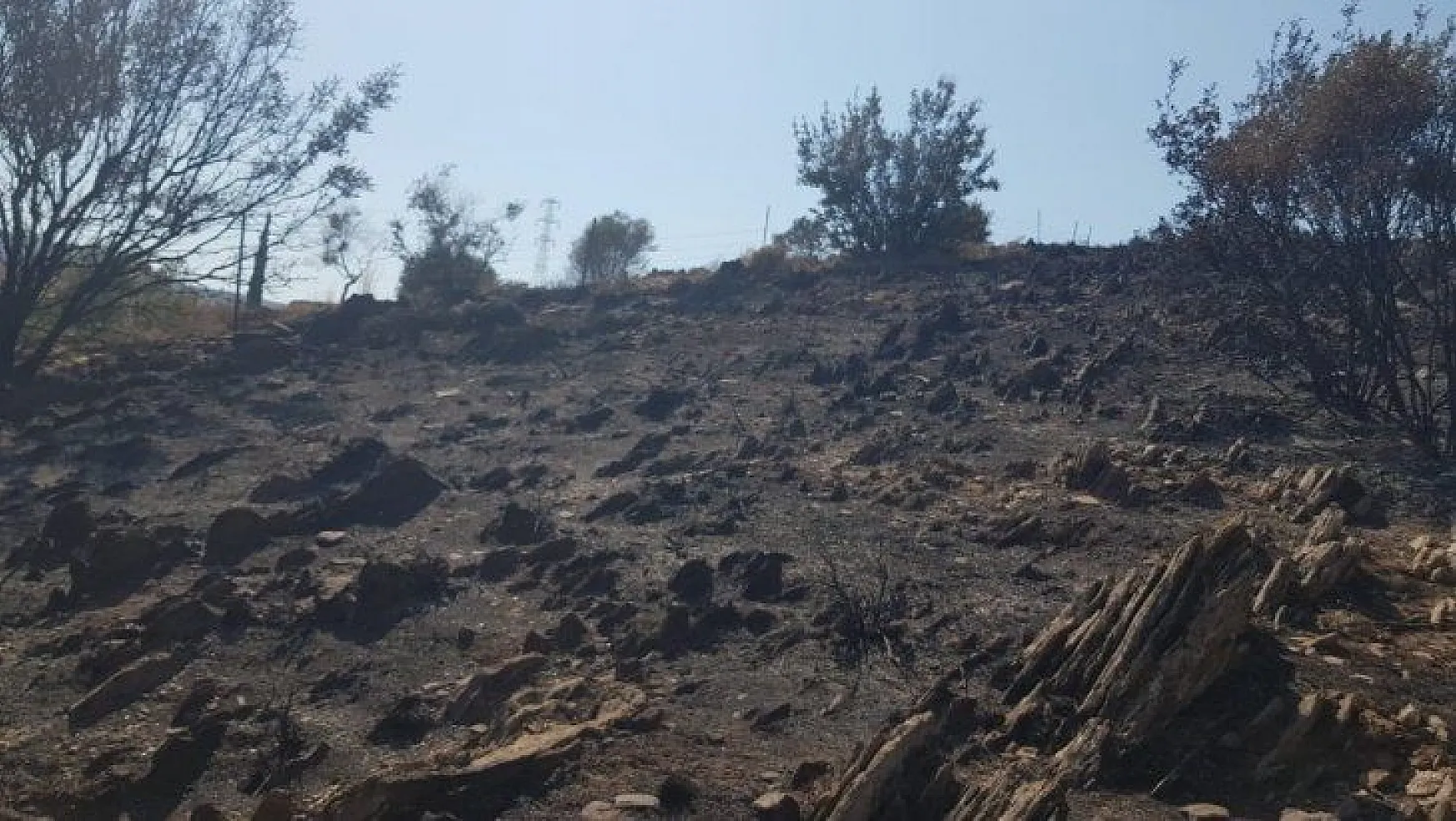 Zeytin, badem ve armut ağaçları zarar gördü