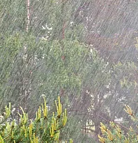 28 Ekim Muğla hava durumu: 13 ilçede kuvvetli sağanak bekleniyor