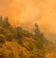 41 derece sıcaklık, saatte 70 kilometre rüzgar: Muğla için uyarı