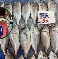 Av Yasağı Sona Erdi, Balık Tezgahları Hareketlendi