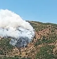 Aydın Sultanhisar'da Ormanlık Alanda Çıkan Yangına Müdahale Sürüyor