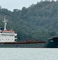 Barbados bayraklı yük gemisi 'Fox' Fethiye Körfezi'ne demirledi