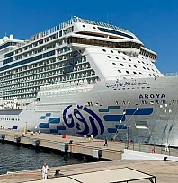 Bodrum'a 'Aroya' adlı kruvaziyer 2 bin 360 turistle geldi