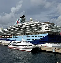Bodrum'a 'Marella Voyager' kruvaziyeri 1850 turist getirdi