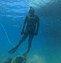 Bodrum açıklarında 40 metre derinliğe uzanan kesintisiz deniz çayırı kuşağı belirlendi