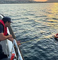 Bodrum açıklarında yüzerek Yunanistan'a geçmeye çalışan göçmen yakalandı
