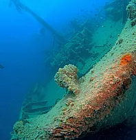 Bodrum açıklarındaki Yassıada'da su altı mirası kontrollü dalışlarla keşfediliyor