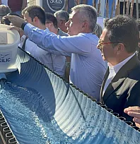 Bodrum Balık festivalinde 6 bin yavru balık denizle buluştu
