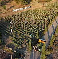 Bodrum Belediyesi Tarım Kampı'nın İkinci Dönemi Tamamlandı