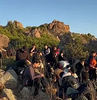 Bodrum'da 34 düzensiz göçmen yakalandı