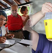 Bodrum'da akdeniz meyve sineğine karşı mücadele sürüyor