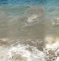 Bodrum'da deniz kirliliği: 'Başsavcılık soruşturma başlattı'