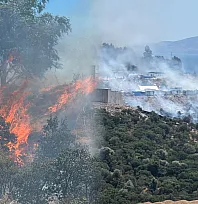 Bodrum'da konteynerde başlayıp makilik alana sıçrayan yangın söndürüldü