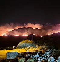 Bodrum'da makilik alanda yangın: 'Alevler rüzgarla hızla yayıldı'
