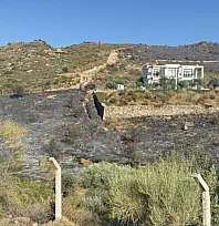Bodrum'da makilik yangını kontrol altına alındı