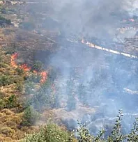 Bodrum'da makilik yangını