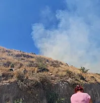 Bodrum'da makilik yangını