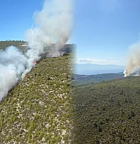 Bodrum'da orman yangını çıktı