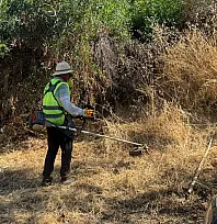 Bodrum'da ot temizliği çalışmaları Haziran ayı boyunca aralıksız sürdü