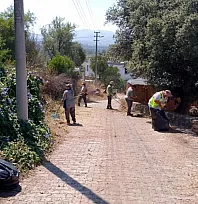 Bodrum'da ot temizliği çalışmaları sürüyor