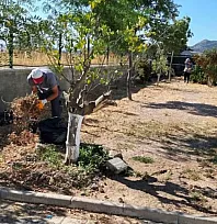 Bodrum'da ot temizliği çalışmaları sürüyor