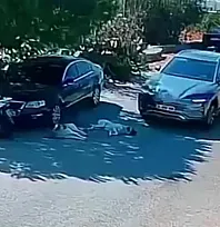 Bodrum'da Otomobil 2 Köpeğin Üzerinden Geçti: O Anlar Kamerada