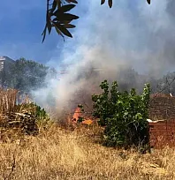 Bodrum'da rüzgarın büyüttüğü yangın 1 saatte söndürüldü