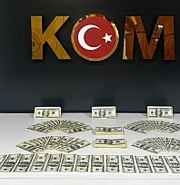 Bodrum'da sahte dolar operasyonu: 46 bin 200 dolar ele geçirildi