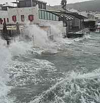 Bodrum'da tekneler karaya vurdu, feribot seferleri yapılamadı
