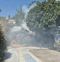 Bodrum'daki yangın büyümeden söndürüldü