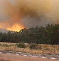 Çanakkale Bayramiç'te Orman Yangınına Havadan ve Karadan Müdahale