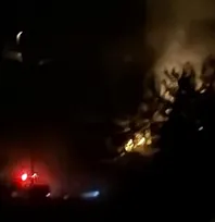 Dalaman'da Orman Yangını Büyümeden Söndürüldü
