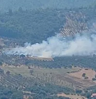 Dalaman'da orman yangını ekiplerin hızlı müdahalesi ile kontrol altına alındı