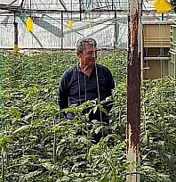 Dalaman'da sera kontrolleri sürüyor