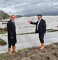 Dolu ve hortumun vurduğu Seydikemer'de oda başkanlarından destek çağrısı