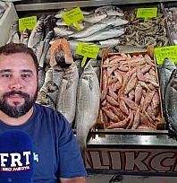 Fethiye Balık Hali'nde balık bolluğu: Palamutta stok zamanı