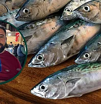 Fethiye Balık Hali'nde Palamut Bereketi: Balıkçıdan Sezon Uyarısı