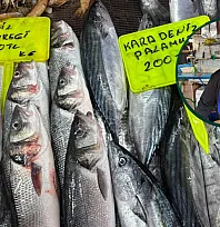 Fethiye Balık Pazarı'nda haftanın fiyatları