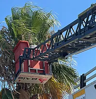 Fethiye Belediyesi'nden Sahil Bandı'na yaz dokunuşu
