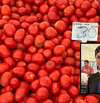 Fethiye Cuma Pazarı'nda kışlık domates telaşı başladı! Tezgahlar hareketlendi