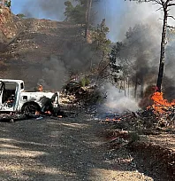 Fethiye'de Araç Yangını Ormana Sıçradı: Yangın Büyümeden Söndürüldü