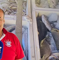Fethiye'de balık sezonu hareketlendi: Çalıca'da tezgahlar palamut ve çupra ile doldu